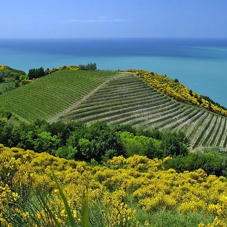 Casa Mare Vallugola Di Gabicce, Vallugola アパート Castel di Mezzo